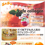 �J�t�F�R���[�Q��